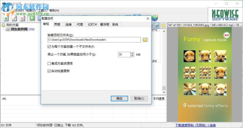 neodownloader下载(网页图片批量下载工具) 2.9.5.191 绿色版