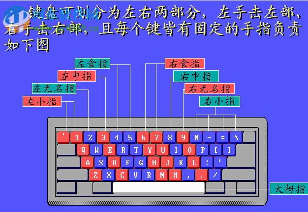 五笔打字专家Ccit3000 8.04 免费版