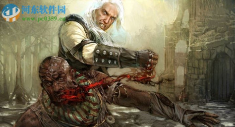 巫师(The Witcher) 繁体中文硬盘版