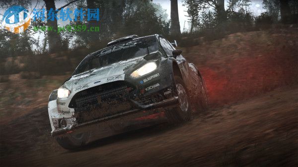 尘埃4(DiRT 4) 4.0 中文版