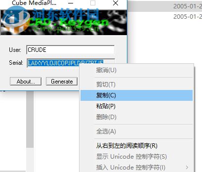 cube media player 2 2.05.0117 中文版