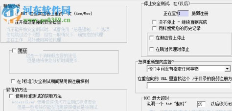 accessdiver(网站漏洞检查工具) 4.92 简体中文版