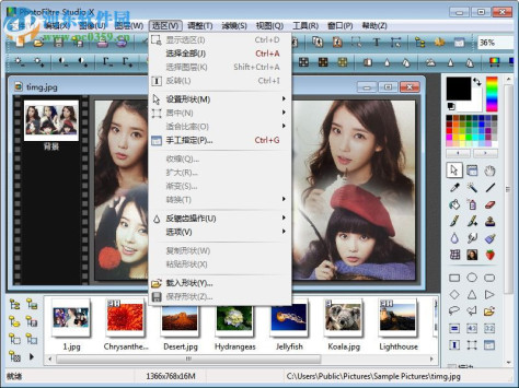 PhotoFiltre Studio X下载(图像编辑器) 10.10.1 汉化版