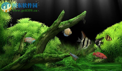 3D梦幻水族馆动态壁纸(dream aquarium)下载 1.234 汉化版