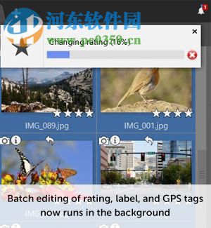 Zoner Photo Studio Free 12 简体中文版