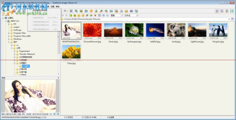 FastStone Image Viewer(图像查看器)下载 7.1 绿色中文版