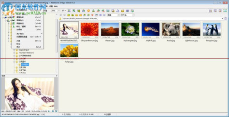 FastStone Image Viewer(图像查看器)下载 7.1 绿色中文版