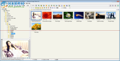 FastStone Image Viewer(图像查看器)下载 7.1 绿色中文版