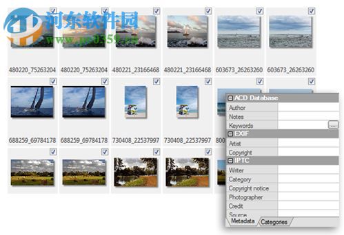 ACDSee Photo Manager 2009 11.0 汉化纯净安装版