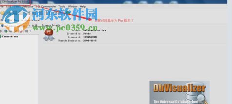 DbVisualizer Pro 64位下载 10.0.20 破解绿色版