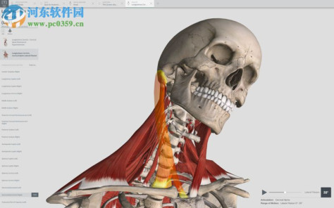 complete anatomy for mac(3d人体解剖学软件) 3.1.1 免费版