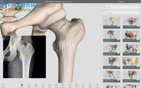 complete anatomy for mac(3d人体解剖学软件) 3.1.1 免费版