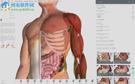 complete anatomy for mac(3d人体解剖学软件) 3.1.1 免费版