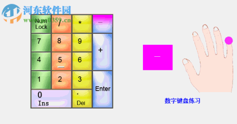 禧龙字王(中英文打字练习) 1.0 绿色免费版