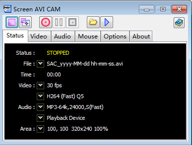 Screen AVI CAM(avi屏幕录像工具) 4.9 绿色版