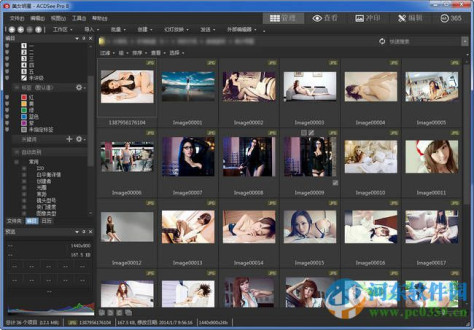 acdsee pro 8 下载 免费版