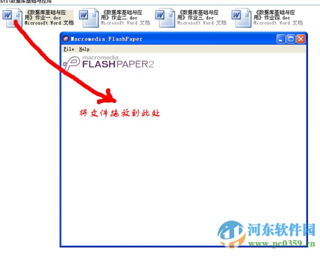 FlashPaper 2.2 终极汉化中文版 32/64位