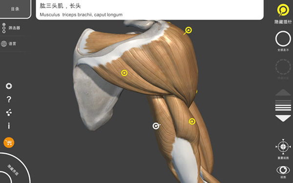 艺术家之3D解剖图Mac版 1.0.1