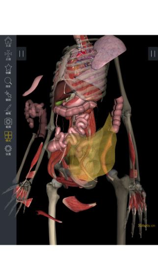 3Dbody解剖 7.7.0 ios版