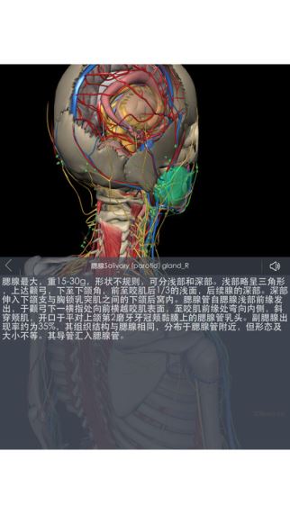 3Dbody解剖 7.7.0 ios版