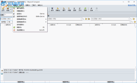 Beyond Compare下载 3.3.12 中文注册版