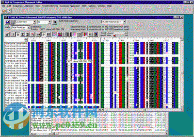 分子生物学应用软件(Bioedit) 7.0.9.0 汉化纯净安装版