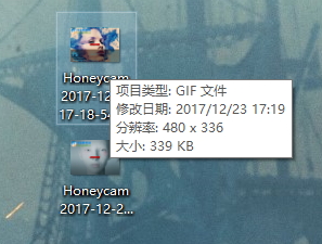 honeycam编辑gif动图图片的方法