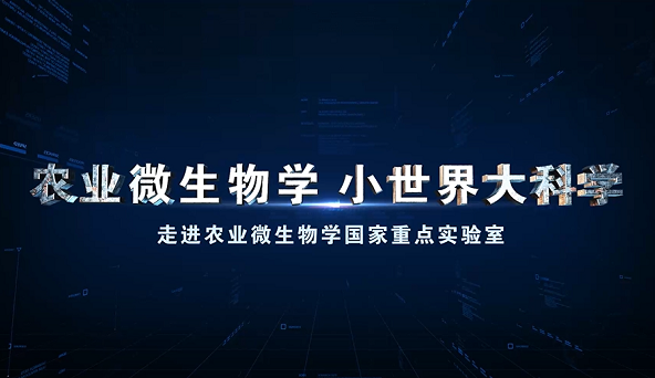 农业微生物学 小世界大科学 走近农业微生物学国家重点实验室