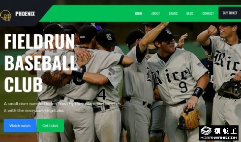 棒球联盟球队展示响应式网页模板