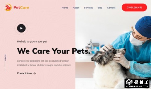 宠物医院护理响应式网页模板