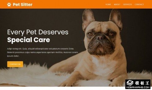 宠物健康护理响应式网页模板