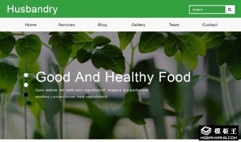 绿色健康生态农业响应式网页模板