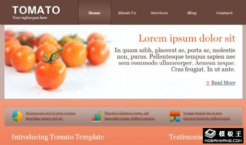 番茄产品业务网页模板