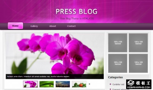 紫色自然鲜花日志网页模板