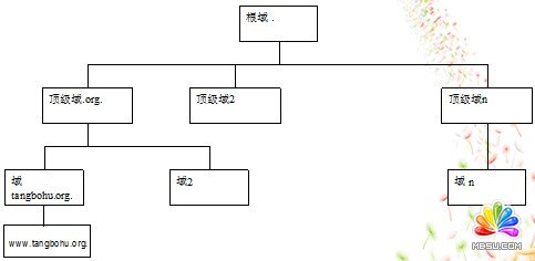 DNS配置_域名解析服务器配置