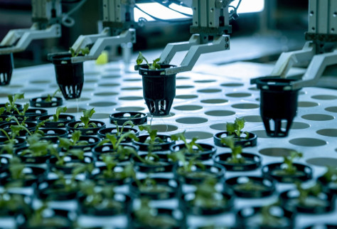 ‘Lengan robotik’ menjalankan pengeluaran automatik di kilang kilang di Quanzhou, provinsi Fujian, pada 8 Mei 2024. (Foto/Xinhua)