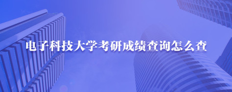 电子科技大学考研成绩查询怎么查