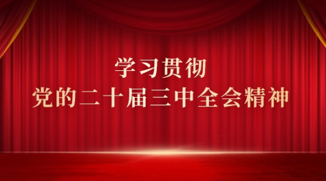 学习贯彻党的二十届三中全会精神