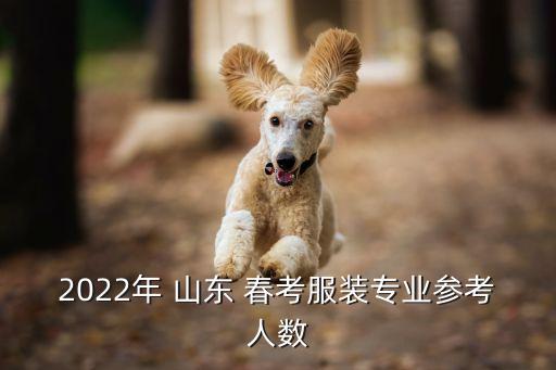 山东春考本科录取比例,春季高考-3/综合率在30%左右