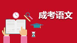 四川考生在2022年成考中如何复习成考语文，应注意的细节？