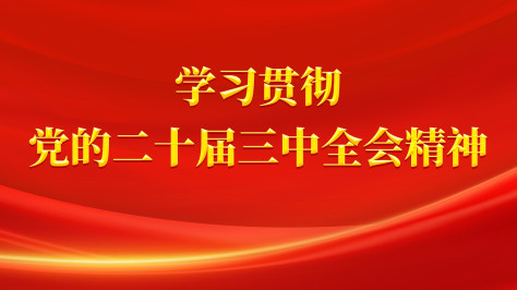 专题 | 学习贯彻党的二十届三中全会精神