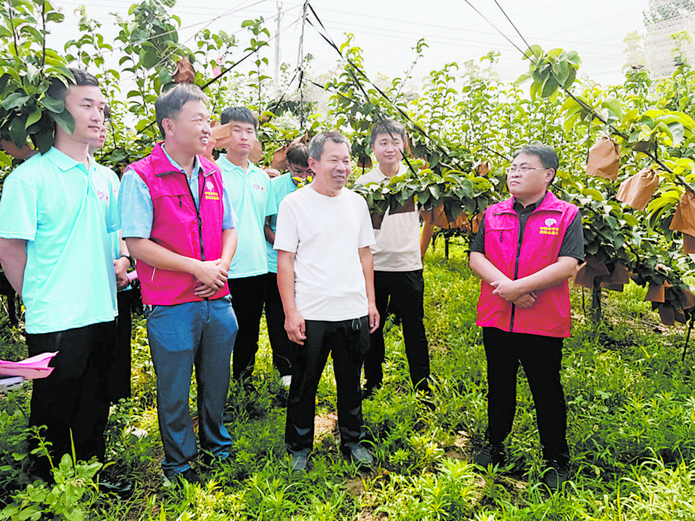  用脚步丈量乡村沃土