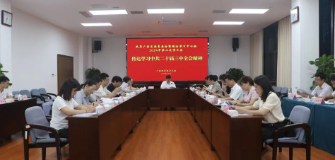 民革广西区委召开十四届十二次常委会暨理论学习中心组第二次学习会 传达学习中共二十届三中全会精神