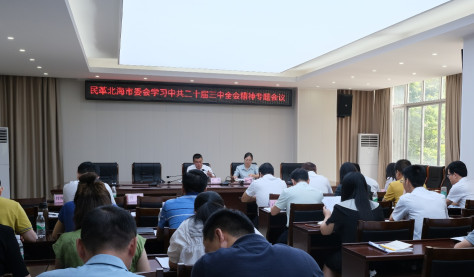 民革北海市委会召开专题会议学习贯彻中共二十届三中全会精神