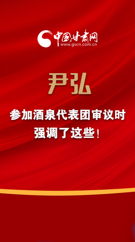 尹弘书记参加酒泉代表团审议时强调了这些！