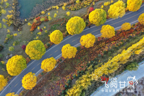 【飞阅甘肃】张掖湿地公园：深秋美景若油画