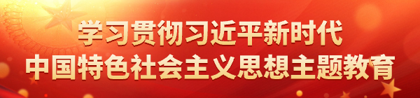 学习贯彻习近平新时代中国特色社会主义思想主题教育