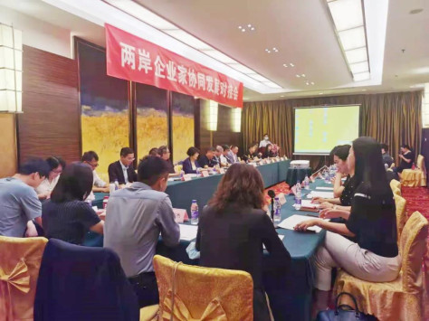 两岸企业家协同发展对接会在京举行