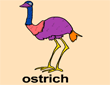 鸵鸟（ostrich）填色