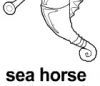 sea horse 上色